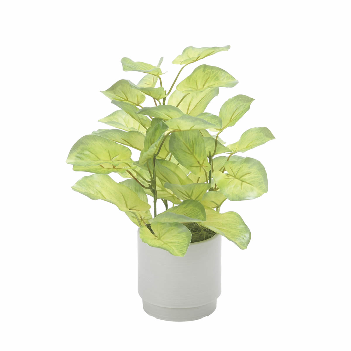 光触媒 光の楽園 フレッシュバウヒニアS【アートフラワー 造花】(2580A40)（※ラッピング不可）