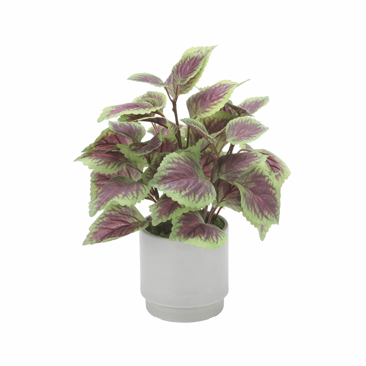 光触媒 光の楽園 コリウスS【アートフラワー 造花】(2598A40)（※ラッピング不可）