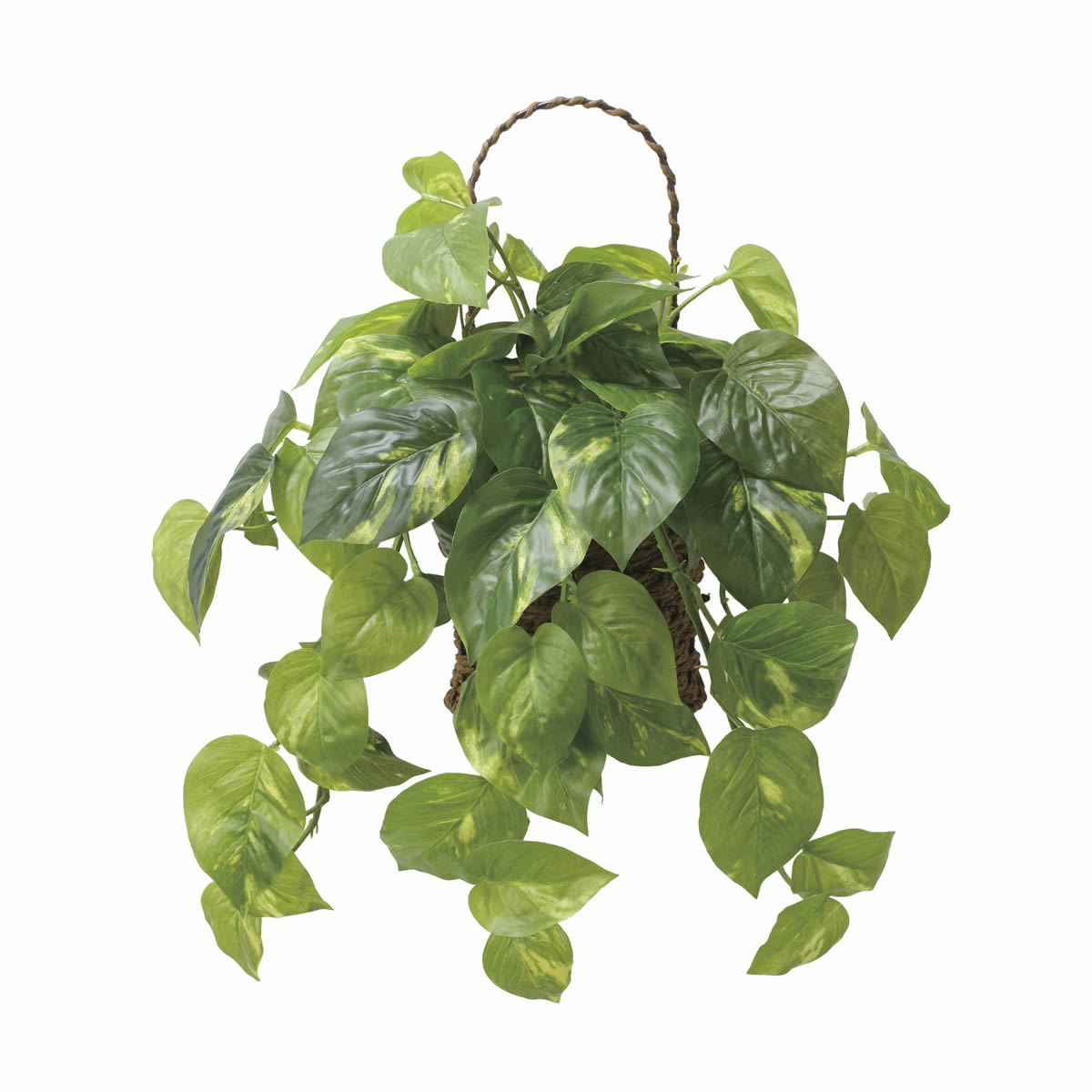 光触媒 光の楽園 壁掛けフレッシュポトス【アートフラワー 造花】(2599A65)（※ラッピング不可）