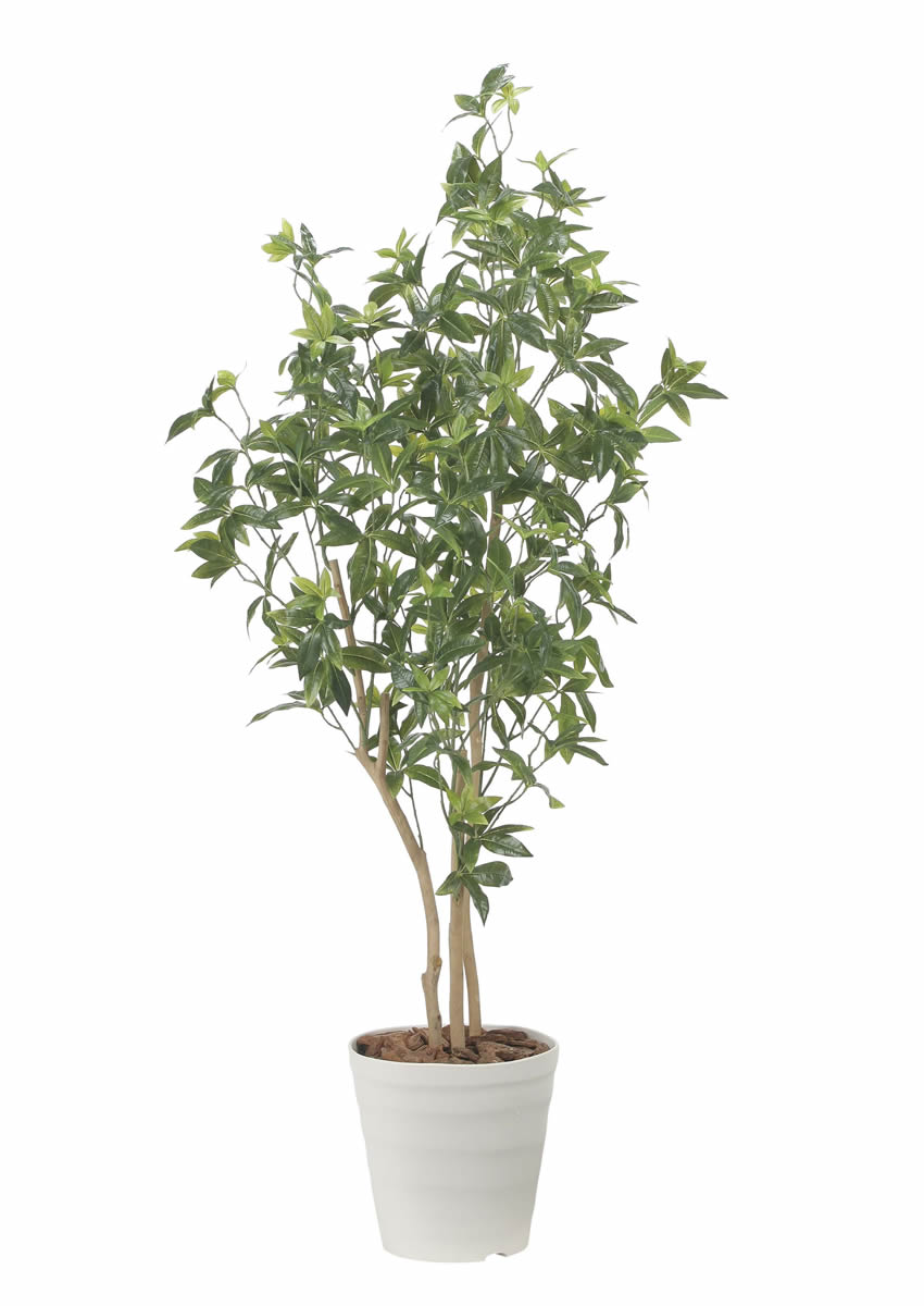 光触媒 光の楽園 デラックスフレッシュパキラ1.6m【インテリア フェイクグリーン 人工観葉植物】(2601A480)（※ラッピング不可）