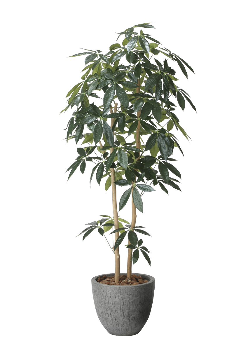 光触媒 光の楽園 ナチュラルパキラ1.6m【インテリア フェイクグリーン 人工観葉植物】(2617A500)（※ラッピング不可）