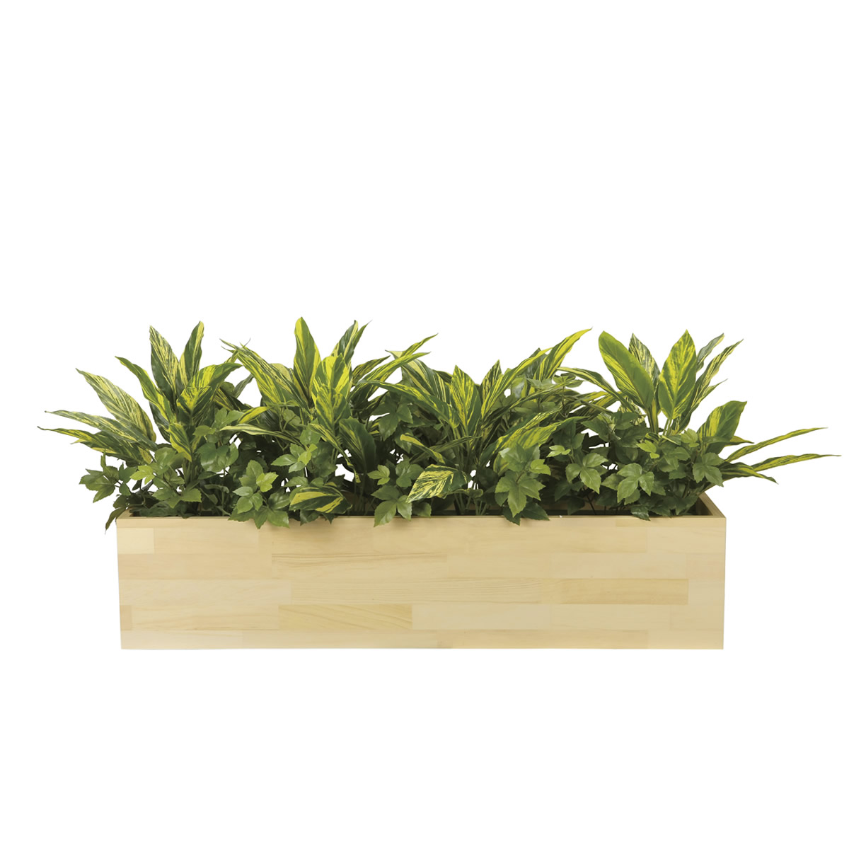 光触媒 光の楽園 ウッドボックスH【インテリア フェイクグリーン 人工観葉植物】(2624A380)（※ラッピング不可）