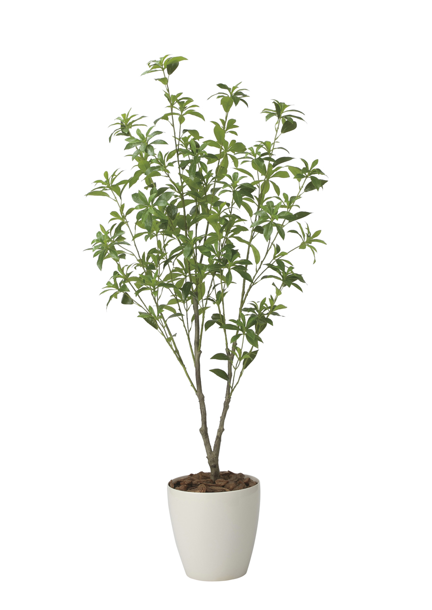 光触媒 光の楽園 フレッシュアセビ1.65m【インテリア フェイクグリーン 人工観葉植物】(2627A300)（※ラッピング不可）