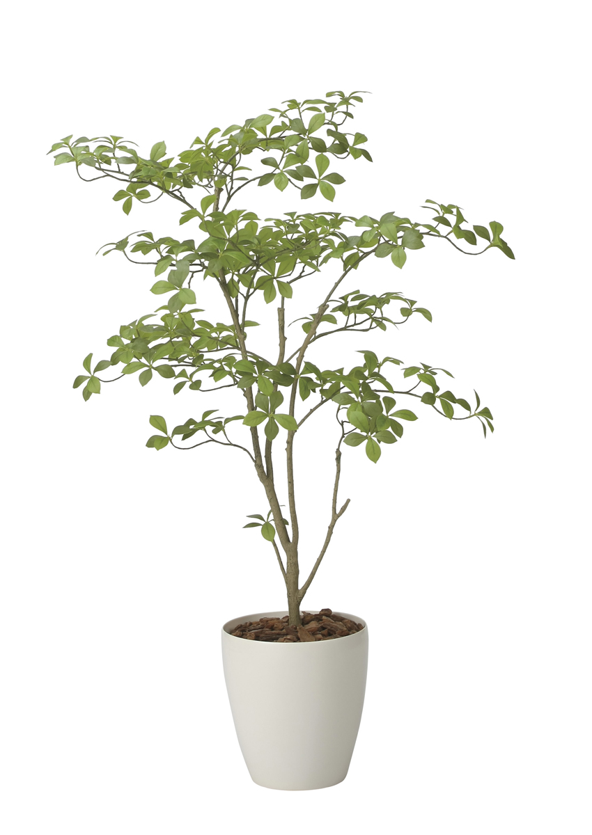 光触媒 光の楽園 アーモンドM1.25m【インテリア フェイクグリーン 人工観葉植物】(2630A450)（※ラッピング不可）