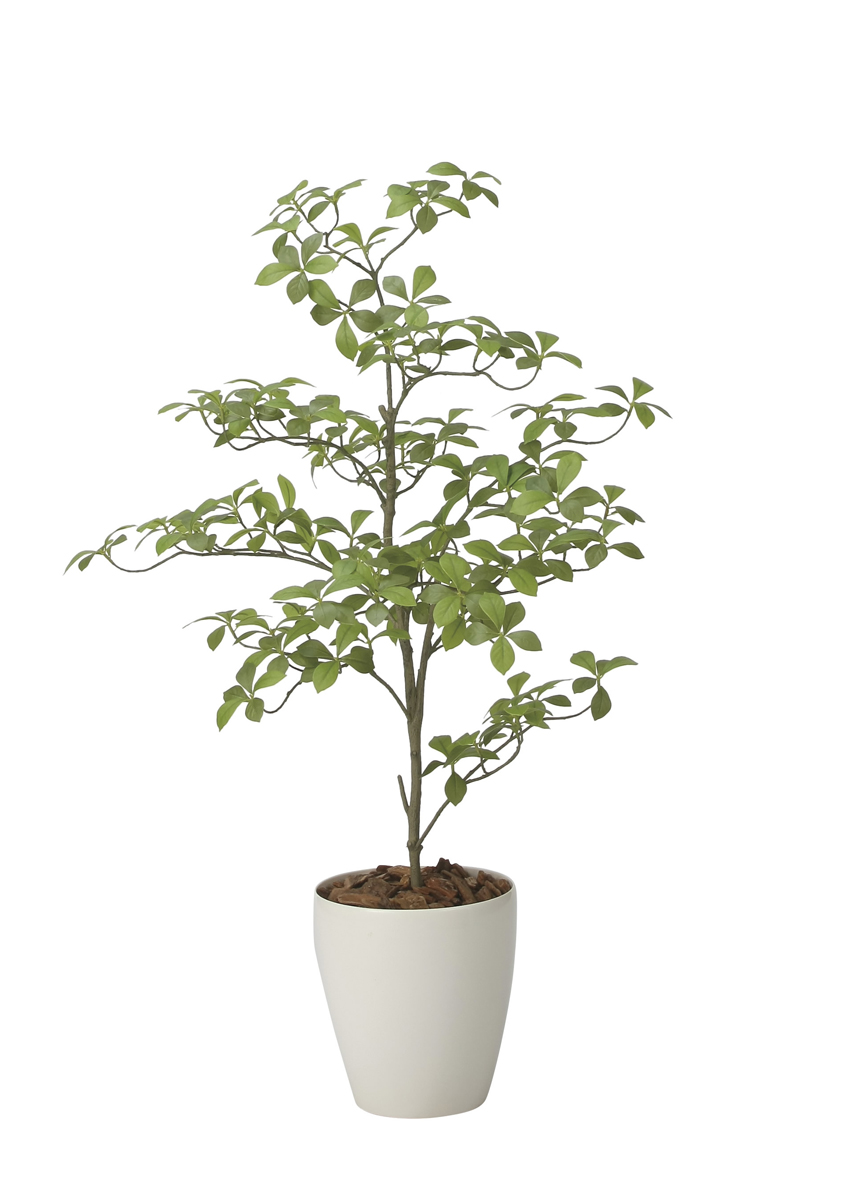 光触媒 光の楽園 アーモンドS1.0m【インテリア フェイクグリーン 人工観葉植物】(2633A250)（※ラッピング不可）