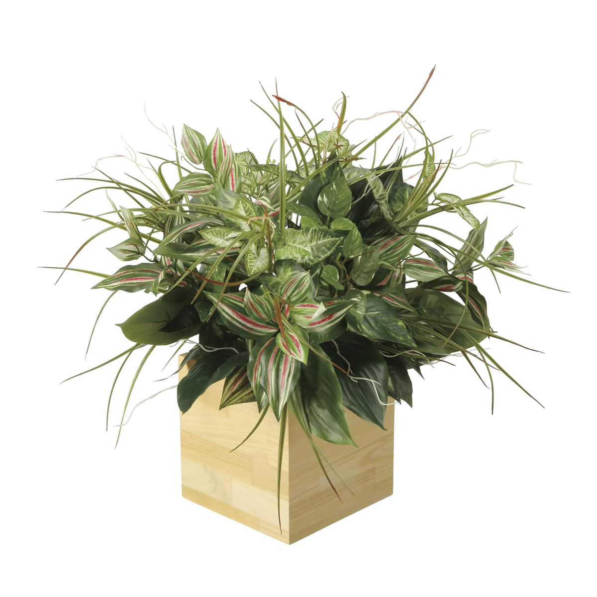 光触媒 光の楽園 ウッドボックスT【インテリア フェイクグリーン 人工観葉植物】(2635A165)