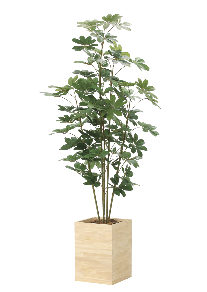 光触媒 光の楽園 ウッドボックスカポック1.8m【インテリア フェイクグリーン 人工観葉植物】(2639A570)（※ラッピング不可）