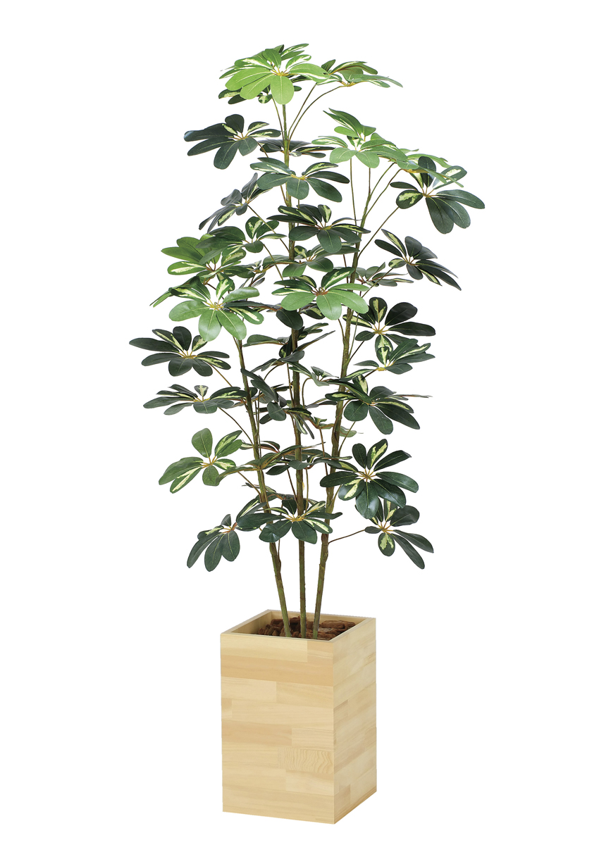 光触媒 光の楽園 ウッドボックスカポック1.6m【インテリア フェイクグリーン 人工観葉植物】(2641A430)（※ラッピング不可）