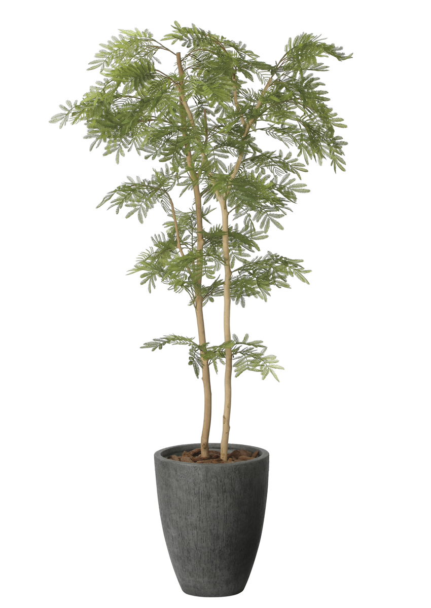 光触媒 光の楽園 ナチュラルねむの木1.8m【インテリア フェイクグリーン 人工観葉植物】(2643A580)（※ラッピング不可）