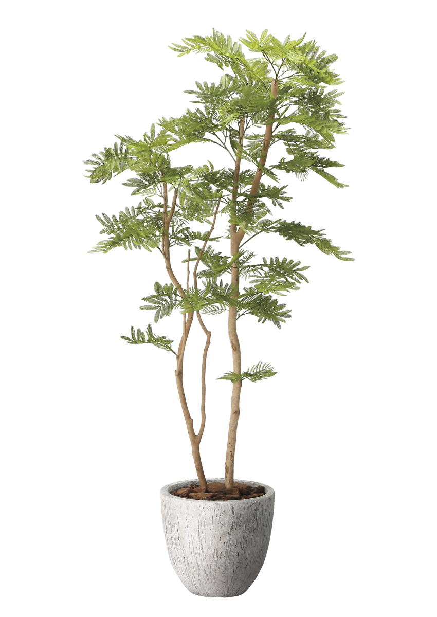 光触媒 光の楽園 ナチュラルねむの木1.6m【インテリア フェイクグリーン 人工観葉植物】(2645A450)（※ラッピング不可）