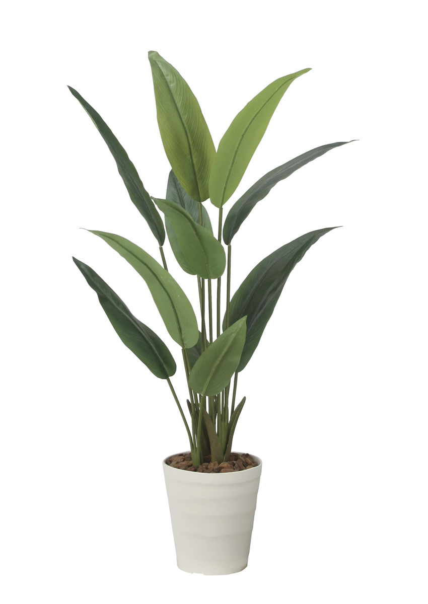 光触媒 光の楽園 フレッシュストレチア 1.2m【インテリア フェイクグリーン 人工観葉植物】(2708A225)（※ラッピング不可）