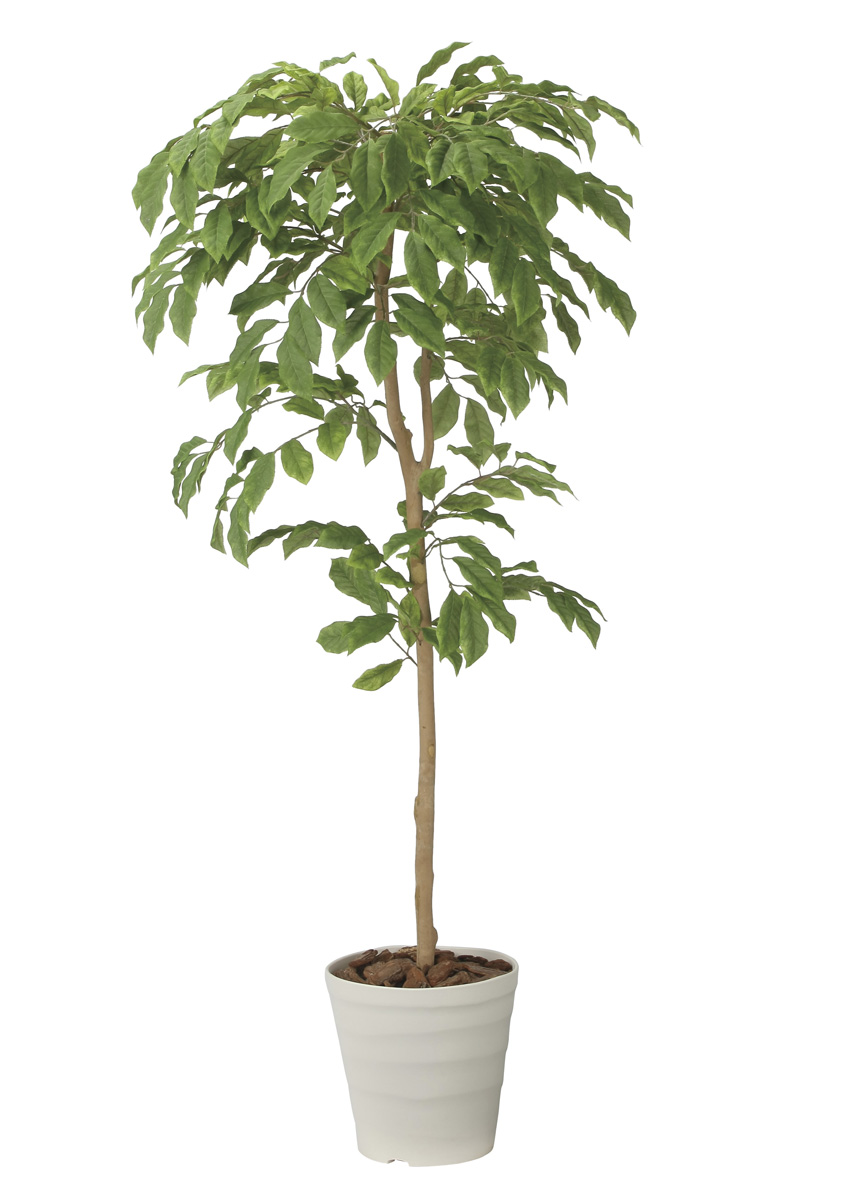 光触媒 光の楽園 チェリーツリー1.8m【インテリア フェイクグリーン 人工観葉植物】(2713A300)（※ラッピング不可）