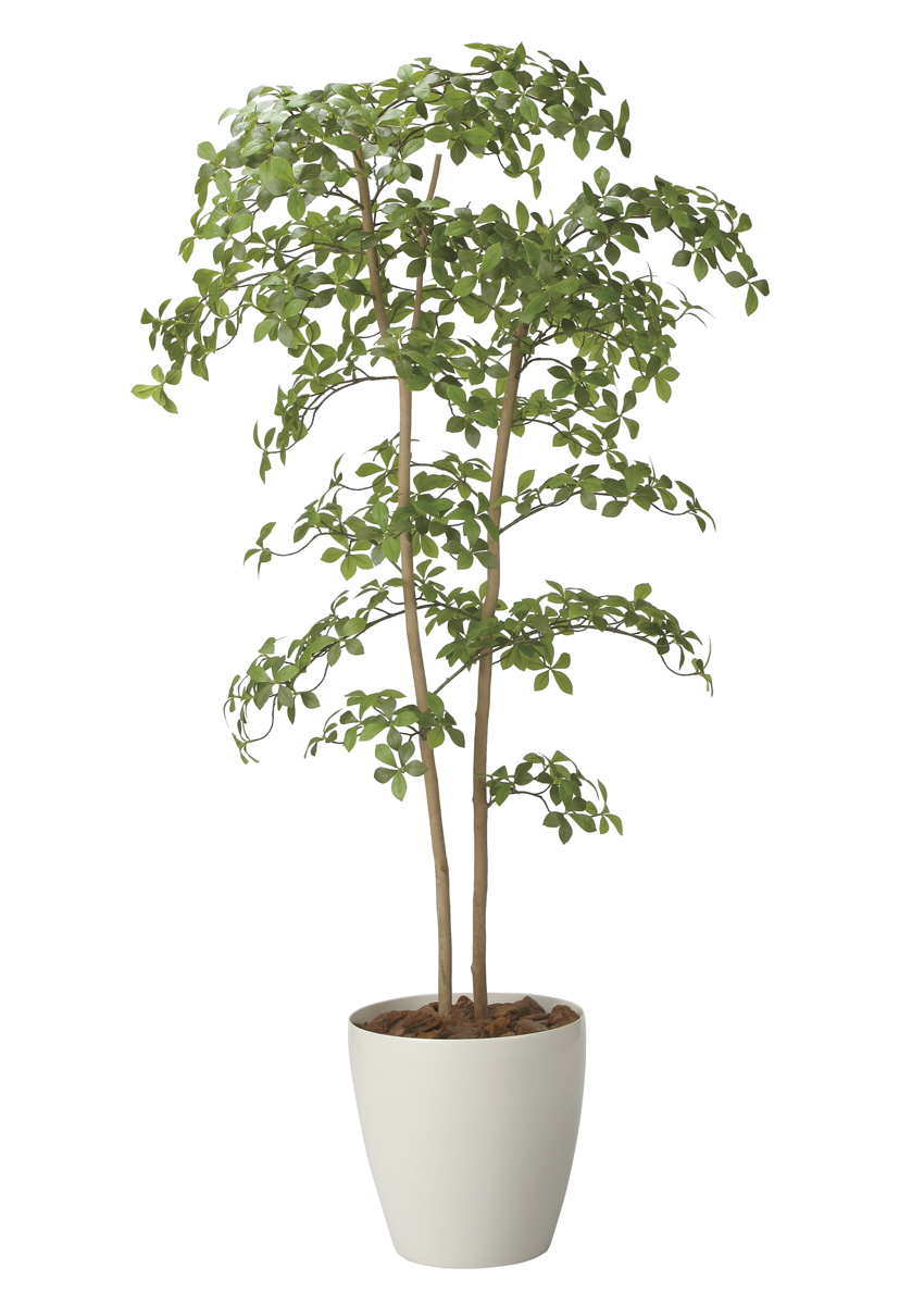 光触媒 光の楽園 アーモンドツリー1.8m【インテリア フェイクグリーン 人工観葉植物】(2714A500)（※ラッピング不可）