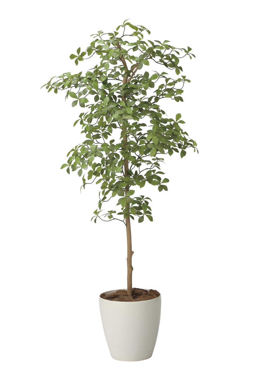 光触媒 光の楽園 アーモンドツリー1.6m【インテリア フェイクグリーン 人工観葉植物】(2717A450)（※ラッピング不可）