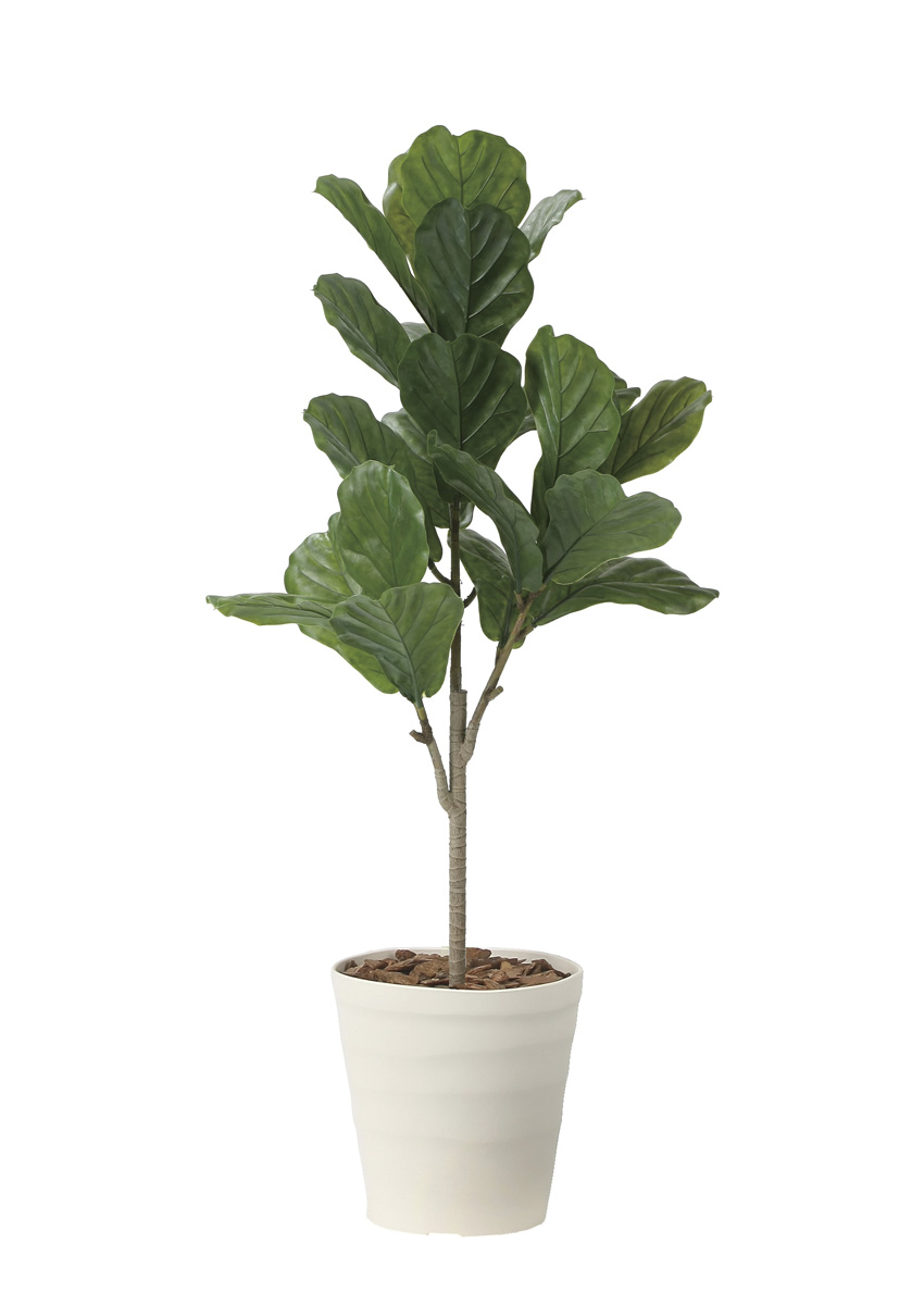 光触媒 光の楽園 カシワバゴム90（ポリ製）【インテリア フェイクグリーン 人工観葉植物】(2724A100)（※ラッピング不可）