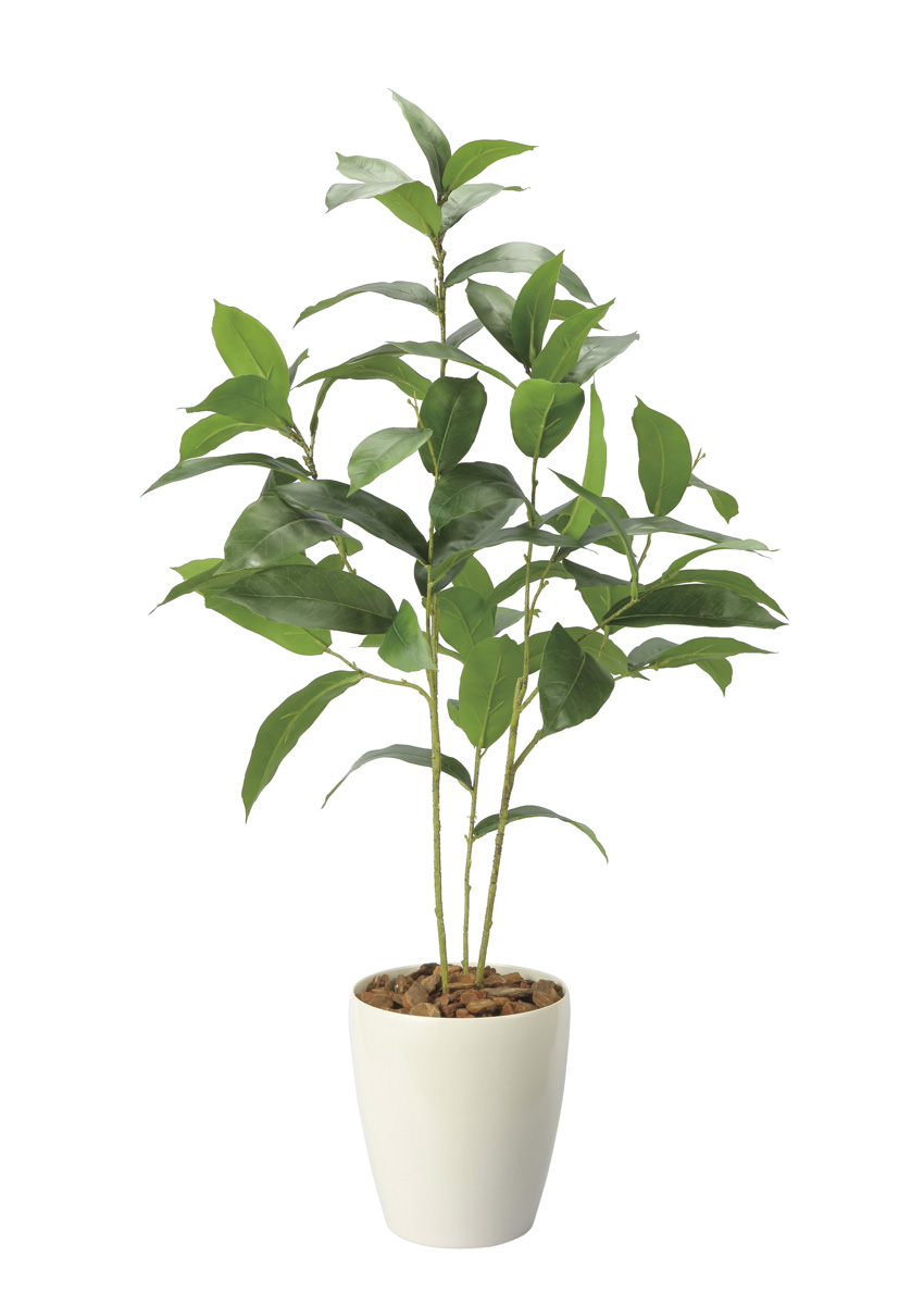 光触媒 光の楽園 ローレル90【アートフラワー 造花】(2732A125)（※ラッピング不可）