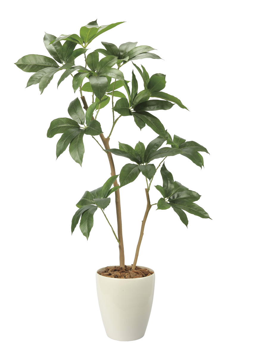 光触媒 光の楽園 ツピタンサス1.2m【インテリア フェイクグリーン 人工観葉植物】(2734A220)（※ラッピング不可）