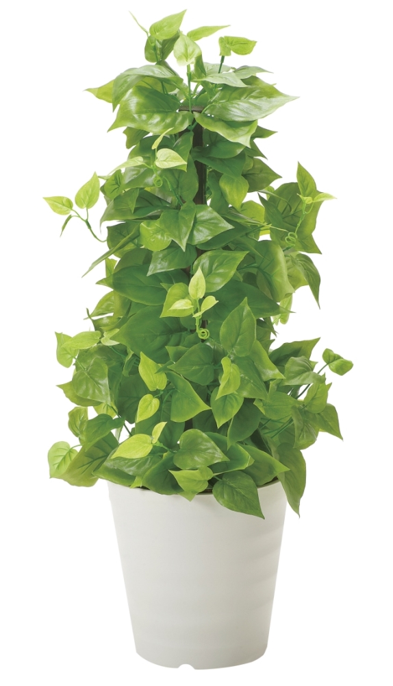 光触媒　人工観葉植物　ウォールグリーン　フェイクグリーン　ライムポトスヘゴ 90 光触媒 人工観葉植物 ウォールグリーン フェイクグリーン ライムポトス