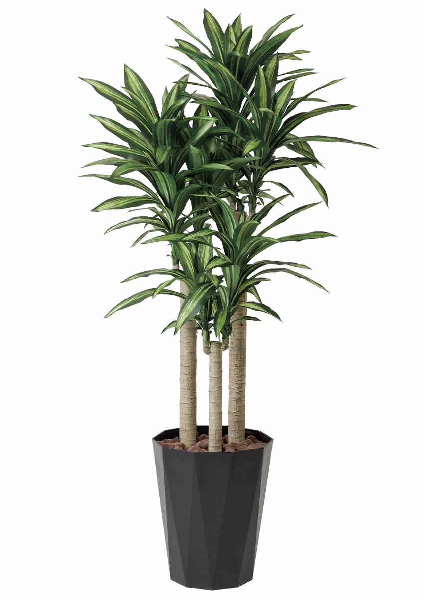 光触媒 光の楽園 幸福の木 1.8m【インテリア フェイクグリーン 人工