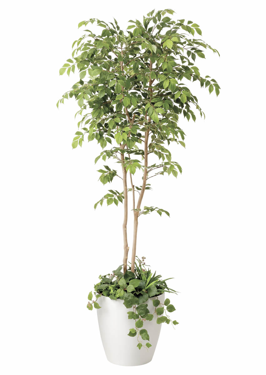 光触媒 光の楽園 マウンテンアッシュ植栽付1.8m【インテリア フェイクグリーン 人工観葉植物】(408R650)（※ラッピング不可）