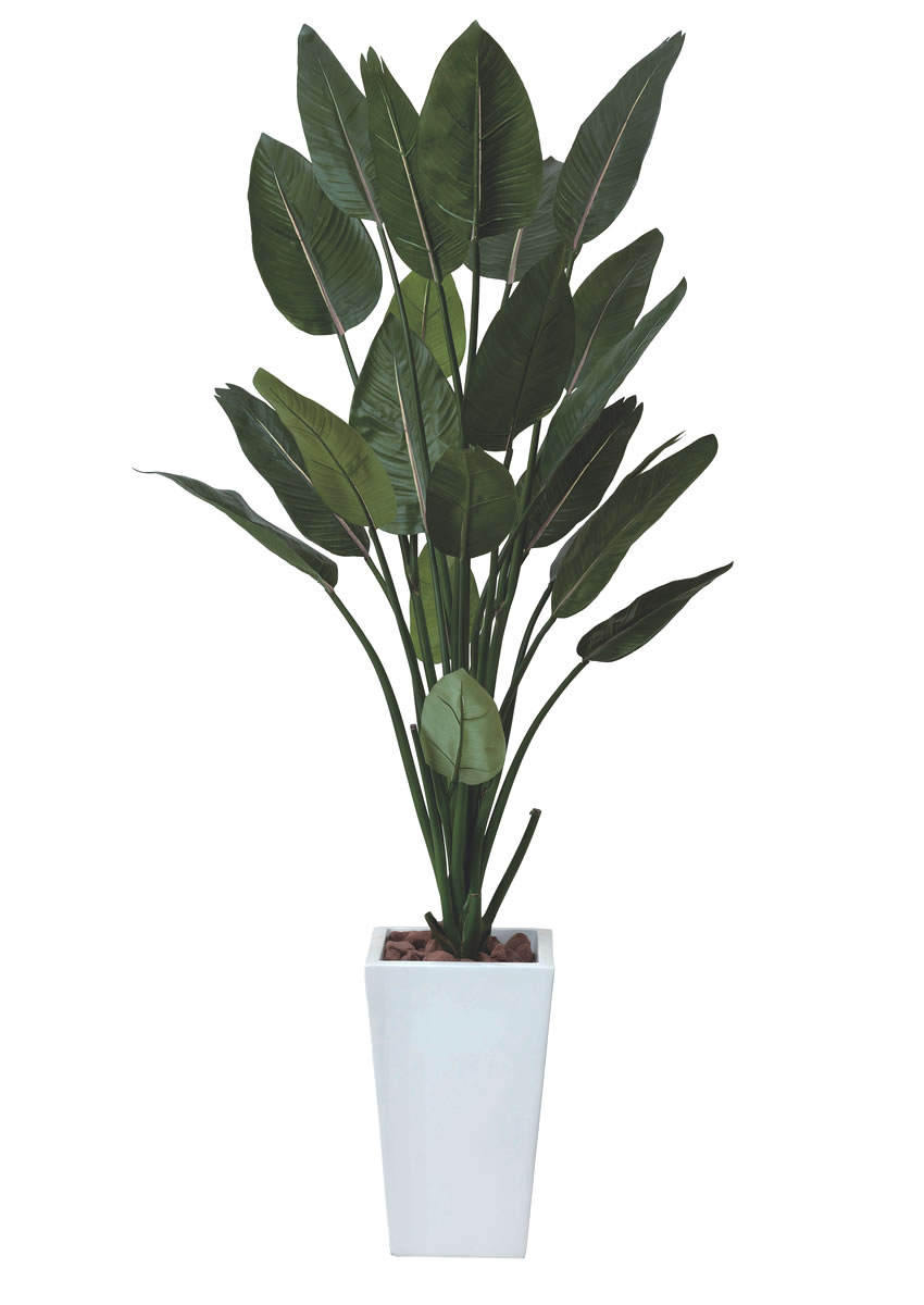 光触媒 光の楽園 ストレチアW1.6m【インテリア フェイクグリーン 人工観葉植物】(409R630)（※ラッピング不可）