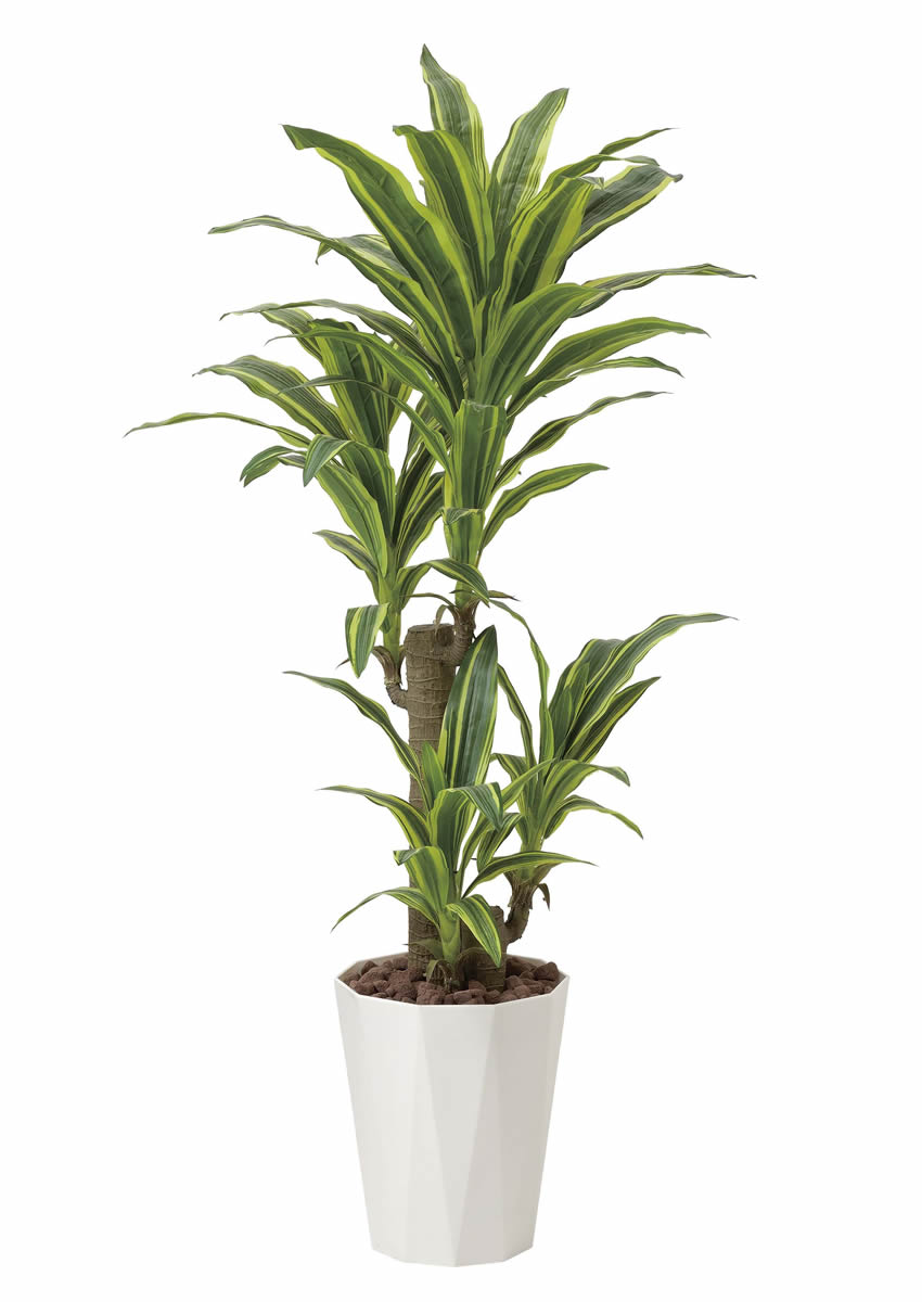 光触媒　人工観葉植物　ウォールグリーン　フェイクグリーン　ドラセナストリクタ19 光触媒 人工観葉植物 フェイクグリーン ドラセナ 高さ 1.8m