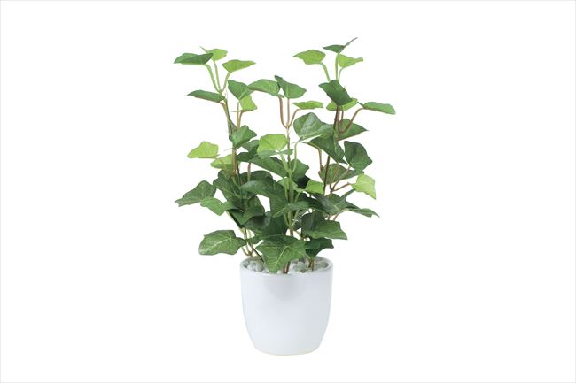 光触媒 光の楽園ミニアイビーポット インテリアグリーン 人工観葉植物 524a25 造花と観葉植物の専門店 光の楽園