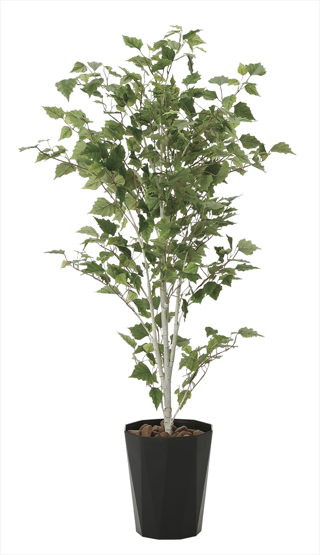 光触媒 光の楽園白樺1 4m インテリアグリーン 人工観葉植物 607a270 造花と観葉植物の専門店 光の楽園