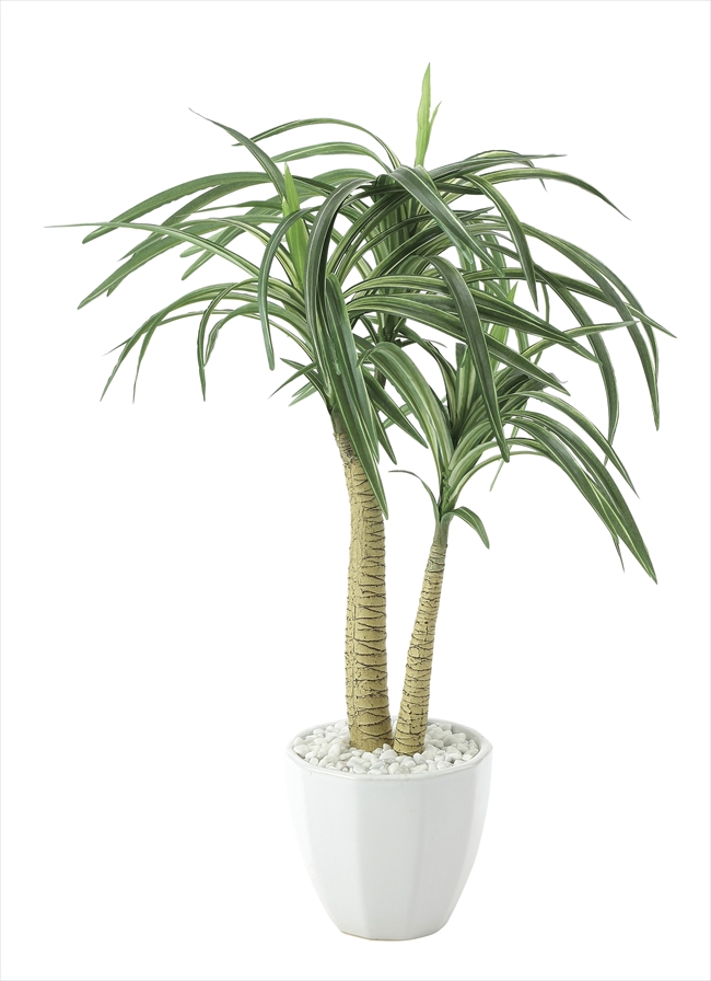 光触媒 光の楽園ユッカ【インテリアグリーン 人工観葉植物】(630a80)