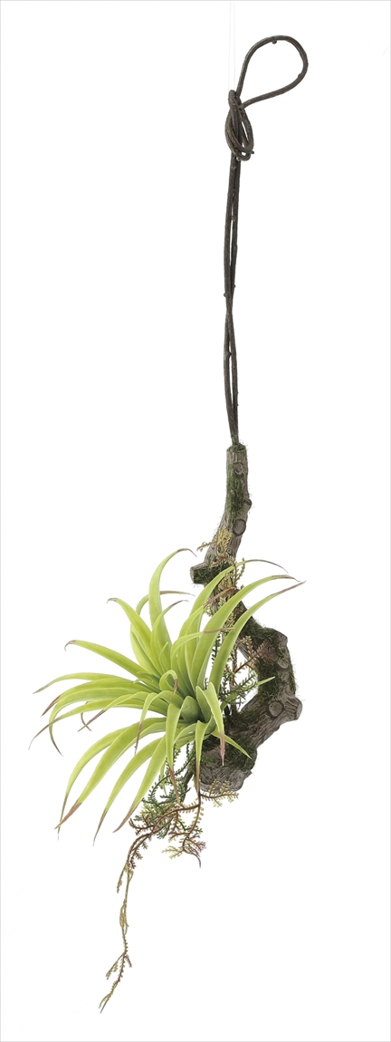 光触媒 光の楽園エアープランツs インテリアグリーン 人工観葉植物 648a40 造花と観葉植物の専門店 光の楽園