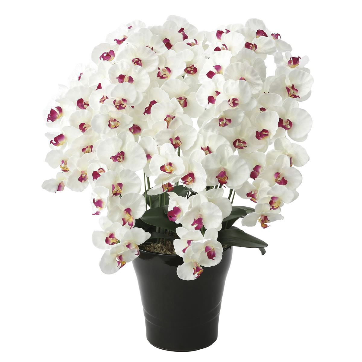 光触媒　光の楽園プレミアム胡蝶蘭7本立W/AB【アートフラワー 造花 】（※ラッピング不可）(657a250)
