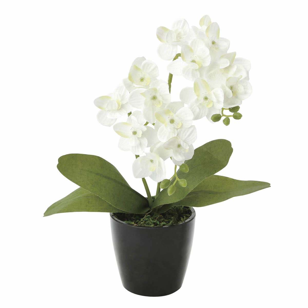 光触媒 光の楽園 ミニオーキットW【アートフラワー 造花 】(706SH10)