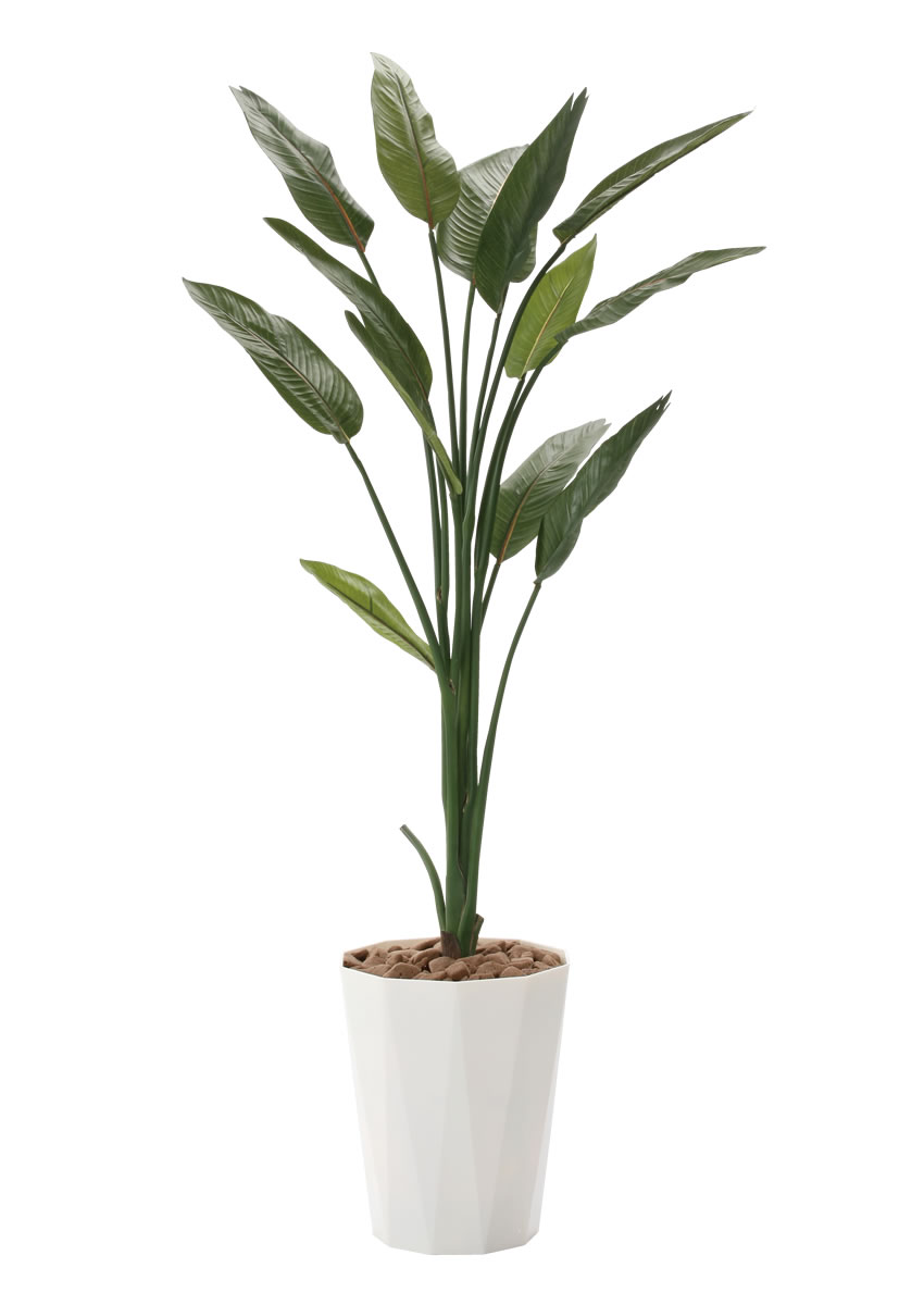 光触媒 人工観葉植物 ウォールグリーン フェイクグリーン ストレチア