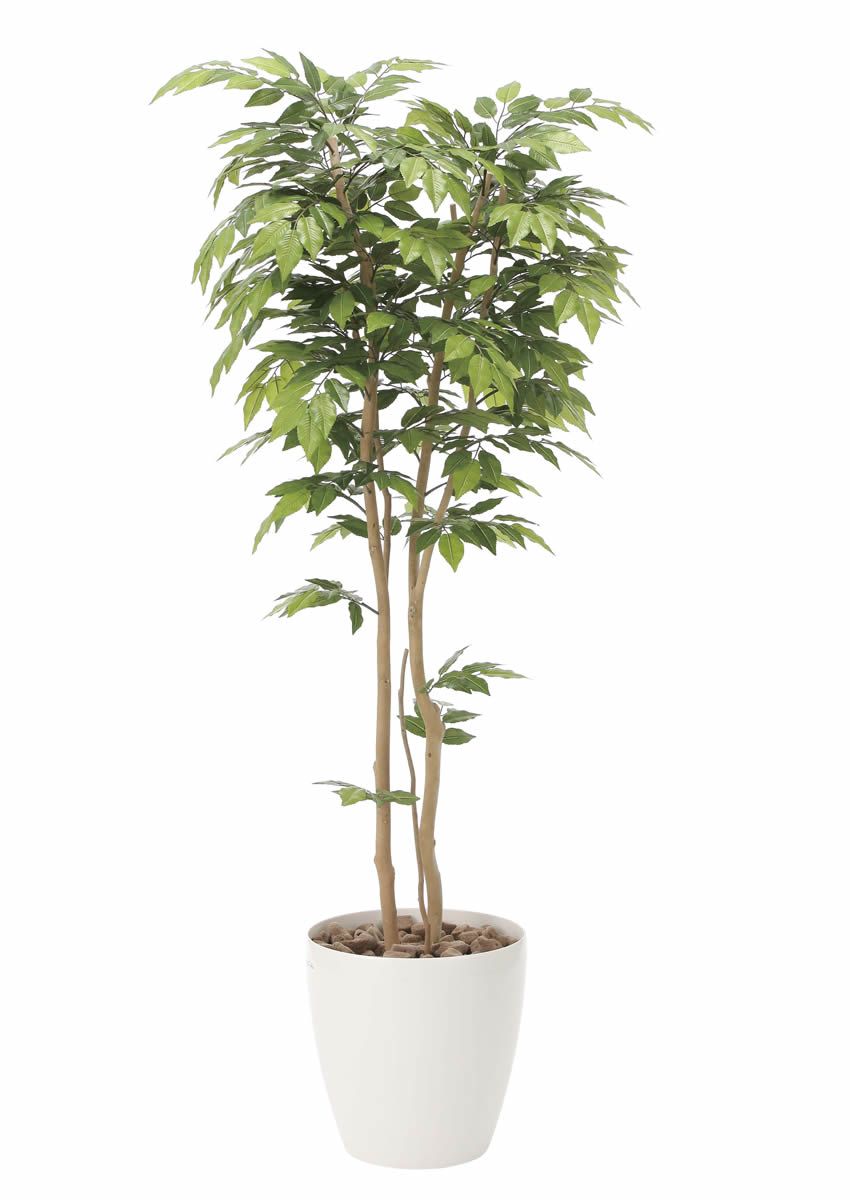 光触媒 光の楽園 ケヤキ1.8m【インテリア フェイクグリーン 人工観葉植物】(807P470)（※ラッピング不可）