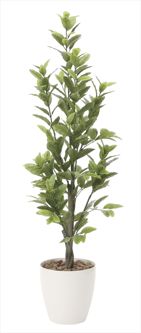 光触媒 光の楽園レモン 高さ 1 6ｍ インテリアグリーン 大型 人工観葉植物 816a300 造花と観葉植物の専門店 光の楽園