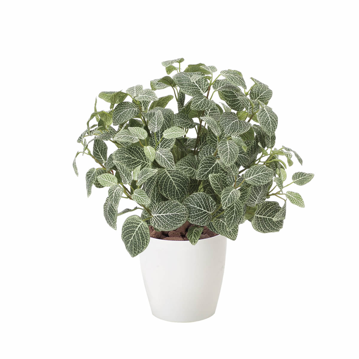 光触媒 光の楽園 フィットニアM（フロック加工）【アートフラワー 造花】(832P100)