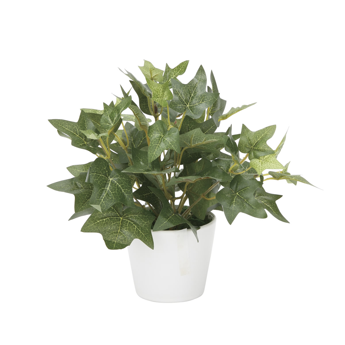 光触媒 光の楽園 アイビーS【インテリア 人工観葉植物】(833K30)