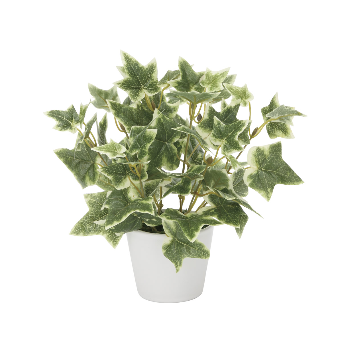 光触媒 光の楽園 斑入リアイビー【インテリア 人工観葉植物】(834K30)