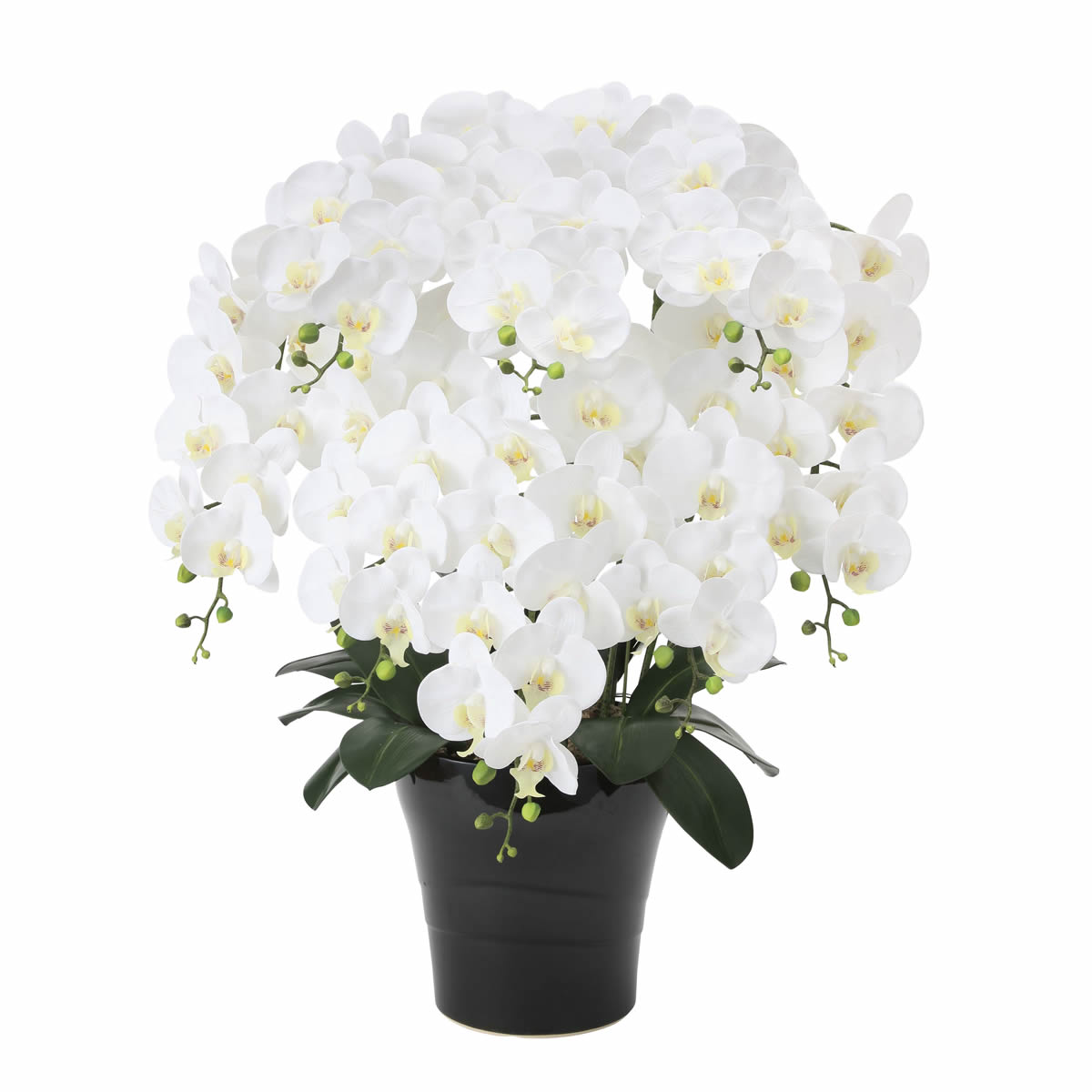 光触媒 光の楽園 フレッシュ胡蝶蘭W8本立【アートフラワー 造花】(877P330)（※ラッピング不可）