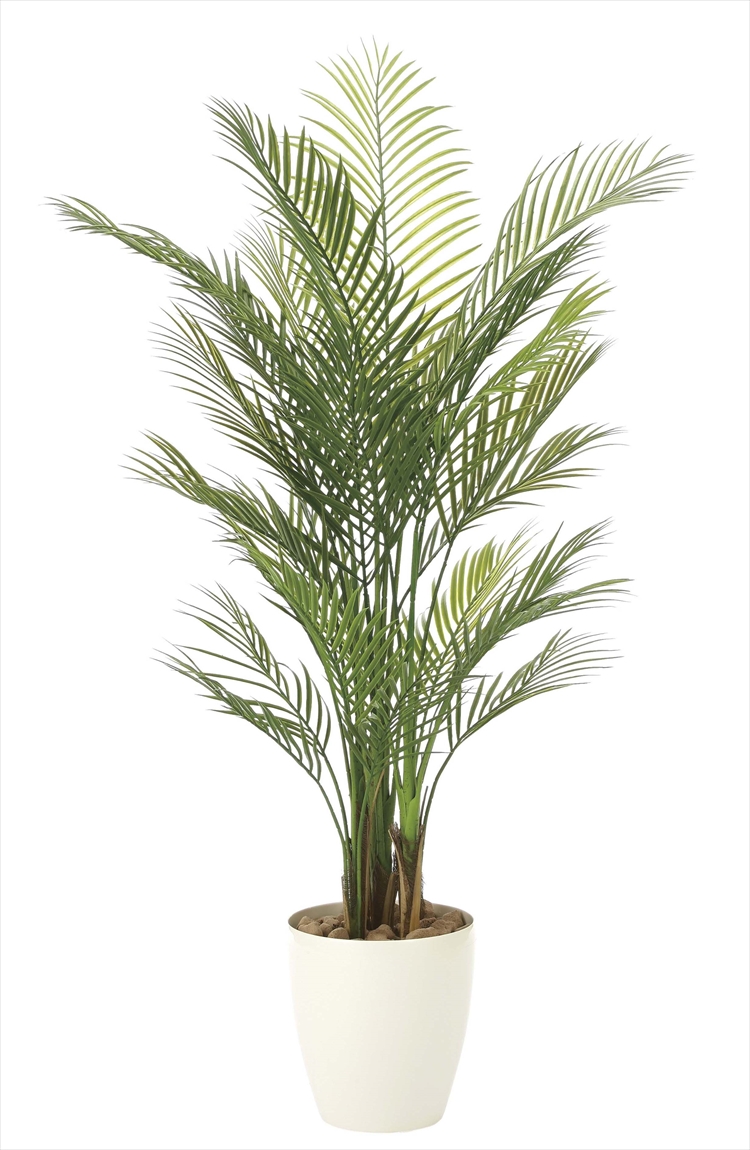 ぽっきりsale対象 光の楽園 光触媒加工 人工観葉植物 アレカパーム1 8m 141f430 24 北海道 沖縄 離島配送 21新作 Www Kaneorthotics Co Nz