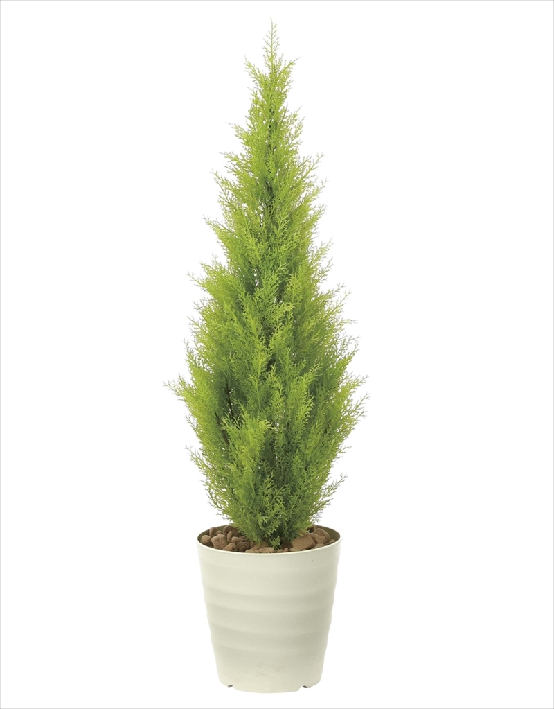 光触媒加工なし 光の楽園ゴールドクレスト1 3m インテリアグリーン 人工観葉植物 910a280 造花と観葉植物の専門店 光の楽園