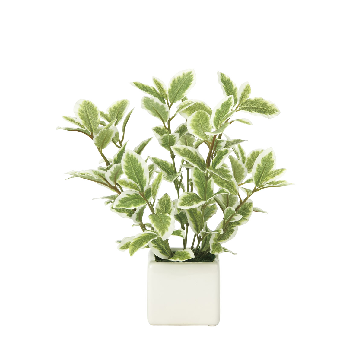 光触媒 光の楽園 ミニリーフG/W【インテリア 人工観葉植物】(935K28)