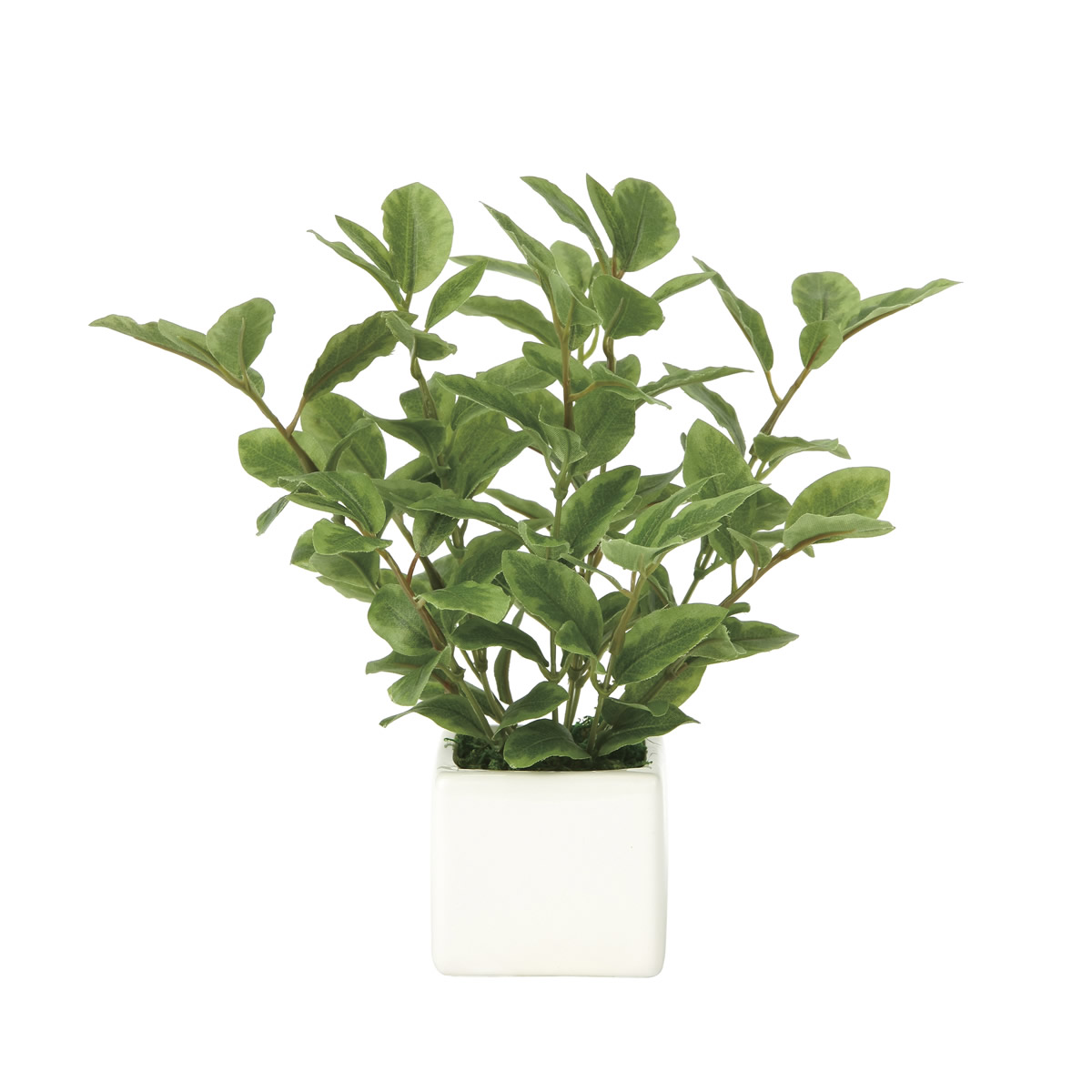 光触媒 光の楽園 ミニリーフ【インテリア 人工観葉植物】(936K28)