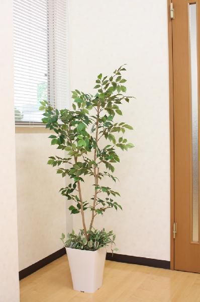 光触媒　人工観葉植物　ウォールグリーン　マウンテンアッシュ1.8 植栽付