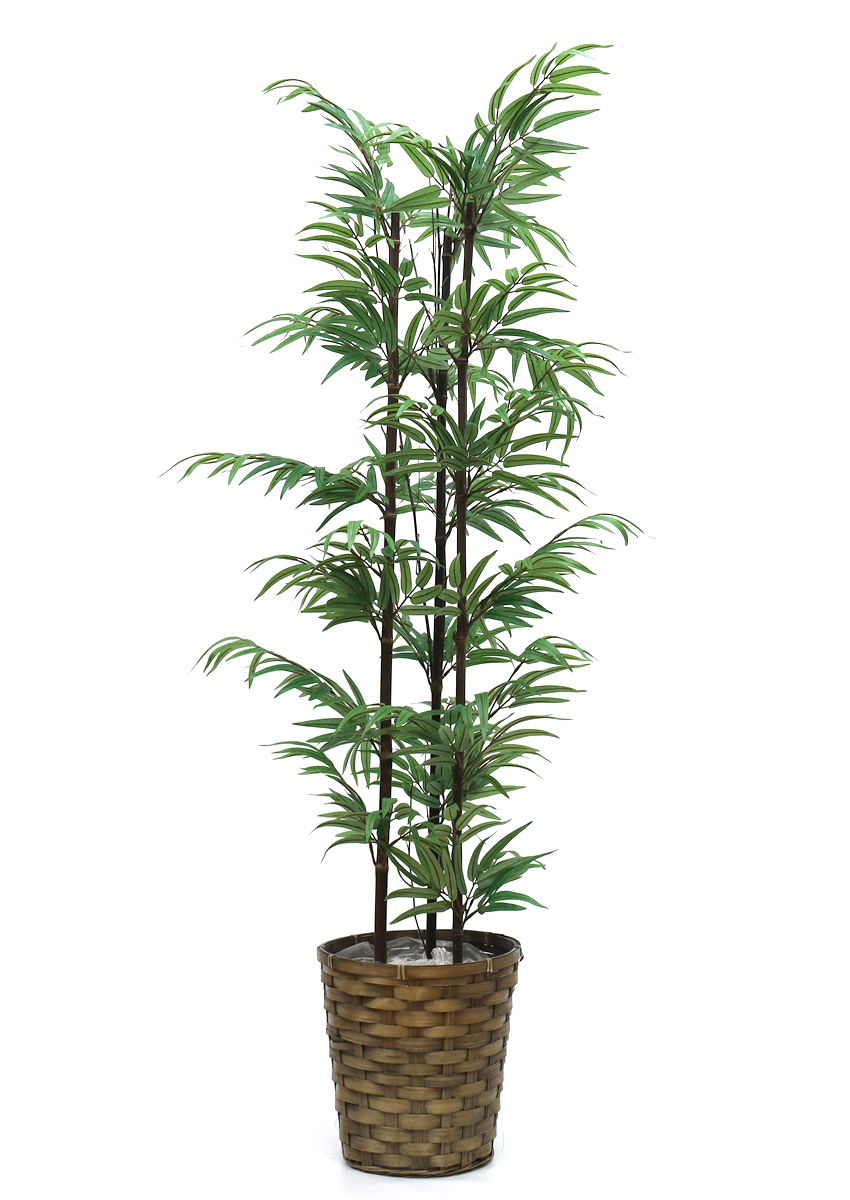 光触媒　光の楽園 一点ものグリーン 高さ140cm【インテリアグリーン 人工観葉植物】(acnone108)