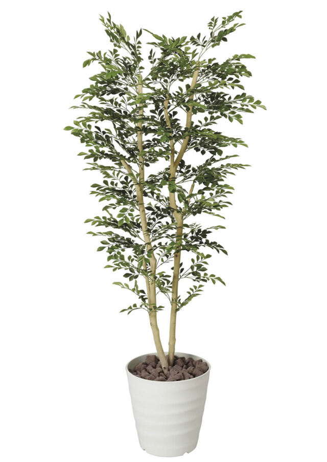 光触媒 光の楽園 トネリコ 1.8m【インテリア フェイクグリーン 人工