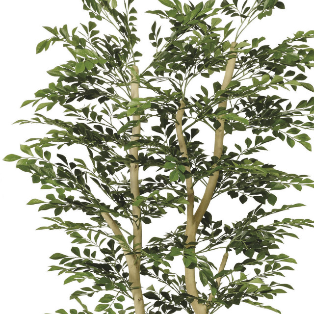 光触媒 光の楽園 トネリコ 1.8m【インテリア フェイクグリーン 人工