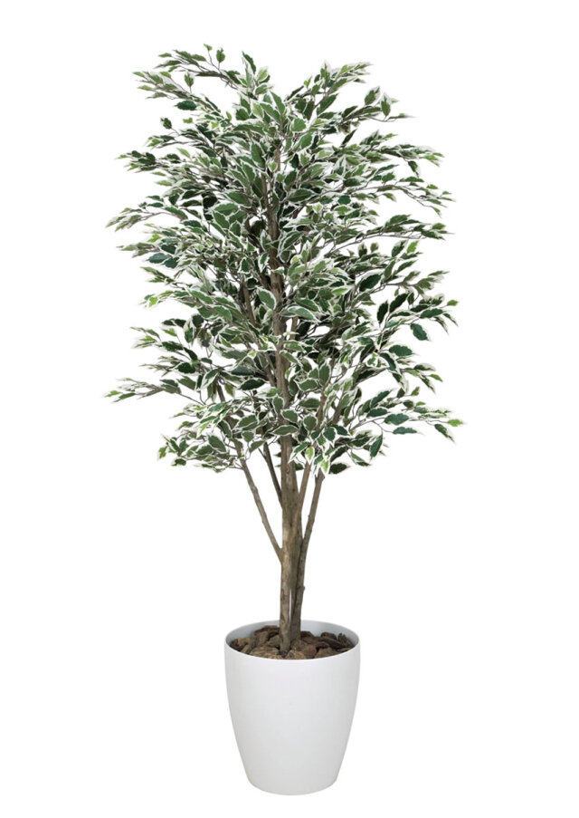 光触媒 光の楽園 ベンジャミンツリー斑入リ 1.6m【インテリア フェイクグリーン 人工観葉植物】(153K430)