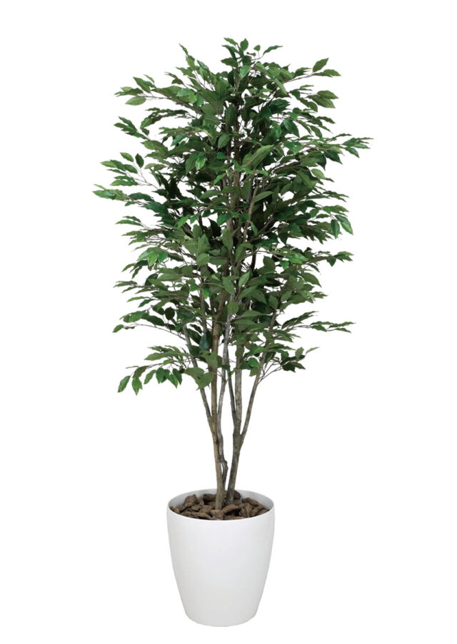 光触媒 光の楽園 ベンジャミンツリー 1.6m【インテリア フェイクグリーン 人工観葉植物】(156R450)