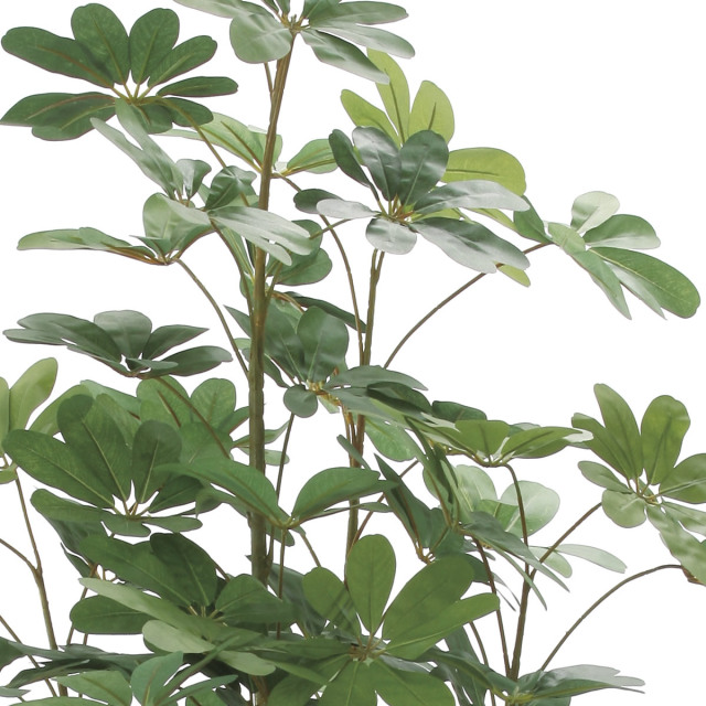 光触媒　人工観葉植物　ウォールグリーン　造花　インテリア　カポック150 光触媒 人工観葉植物 ウォールグリーン フェイクグリーン 壁掛け